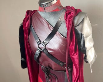 Octavia Blake blood reina costume cosplay The 100