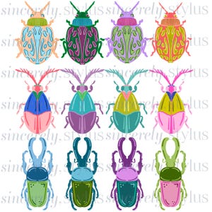 Puede incluir: Una ilustración digital que presenta doce escarabajos coloridos dispuestos en tres filas de cuatro. Los insectos muestran varios patrones y combinaciones de colores vibrantes, incluyendo tonos de azul, verde, rosa, morado y amarillo sobre fondo blanco.