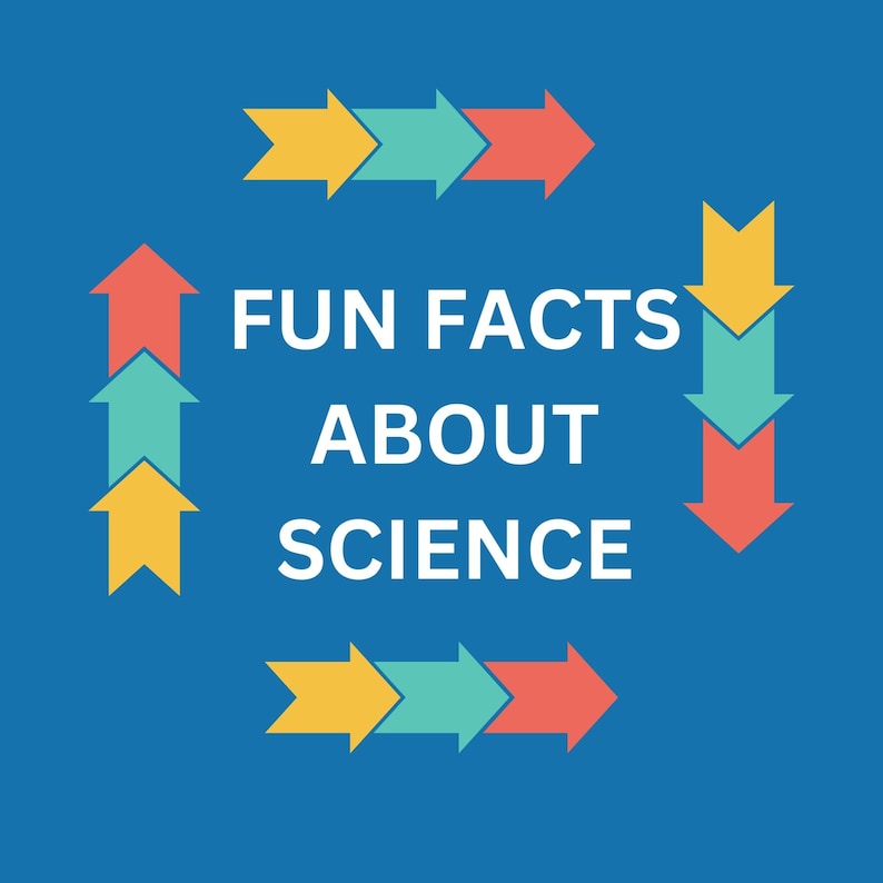 FUN FACTS FLASHCARDS All About Science Botany Anatomy Etsy