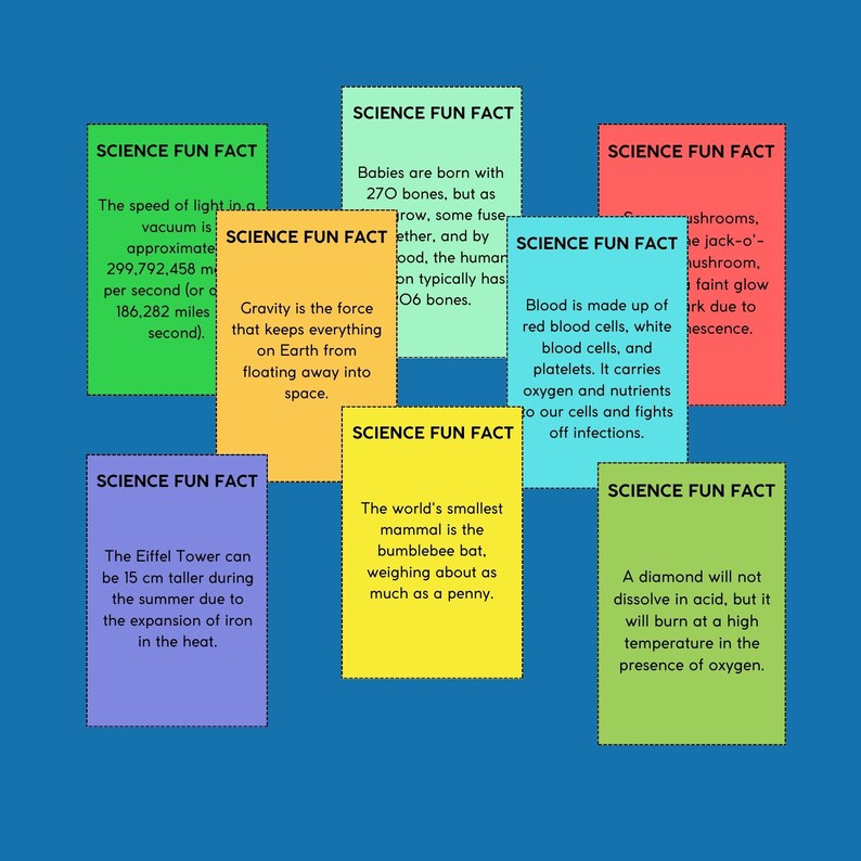 FUN FACTS FLASHCARDS All About Science Botany Anatomy Etsy