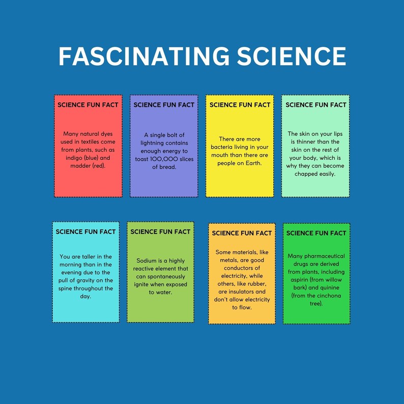 FUN FACTS FLASHCARDS All About Science Botany Anatomy Etsy