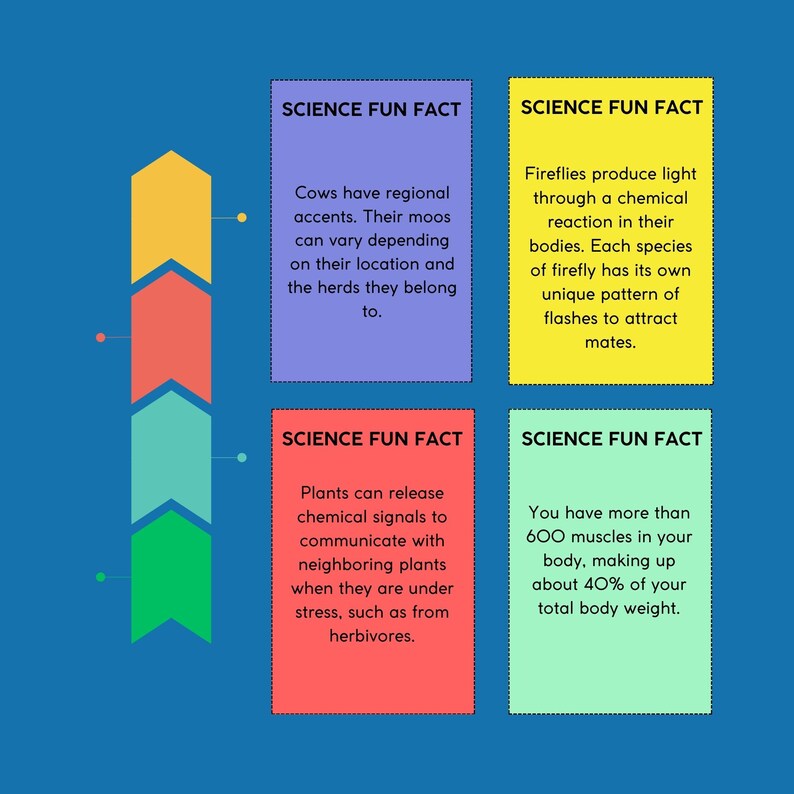 FUN FACTS FLASHCARDS All About Science Botany Anatomy Etsy