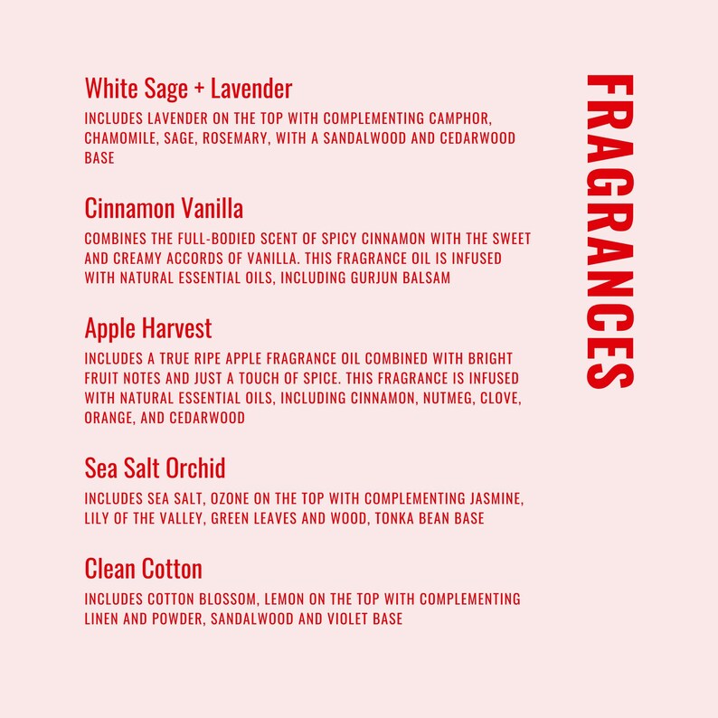 Funny Lawyer Candle, Future Lawyer Gift, Law School Graduation, Gift