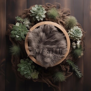 Digital backdrop background newborn boy or girl boho succulent floor grey fur