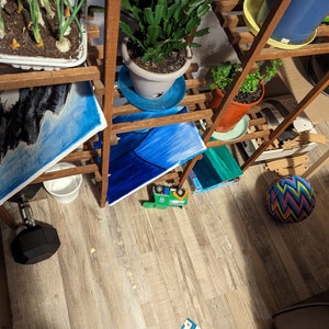 May include: A wooden shelf unit with plants in pots, a blue and black abstract painting, and a blue and green abstract painting. A toy truck and a colourful ball are on the floor.