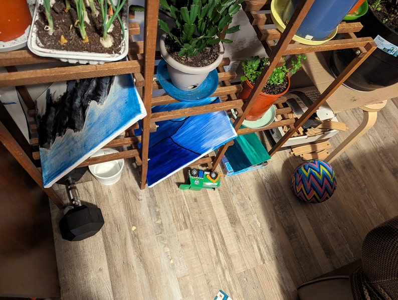 May include: A wooden shelf unit with plants in pots, a blue and black abstract painting, and a blue and green abstract painting. A toy truck and a colourful ball are on the floor.
