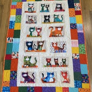 May include: A rectangular quilt featuring a central cream-colored panel with various cat illustrations in rectangular frames. The border consists of a patchwork of multicolored squares in shades of orange, yellow, blue, green, purple, and red.