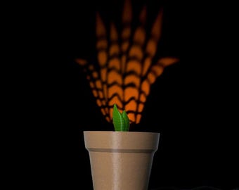 Snake Plant Wall Light