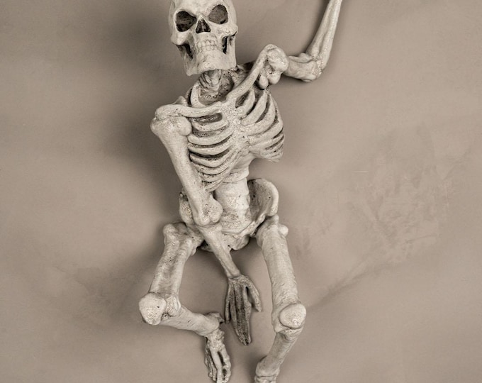 Featured listing image: Jump Scareleton Ready for Paint, Spooky Skeleton Wall Mount Bust, 3D Printed Gothic Wall Art, Halloween Horror Home Decor, Hanging Statuette