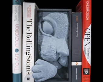 Cat's Curiosity Book Nook