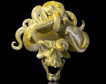 Another Pirate Door Knocker