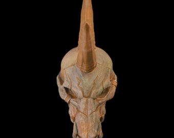 Black Dragon Skull