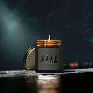 Geurkaarsen, op Star Wars geïnspireerde kaars op kokosnoot-abrikozenwas, cadeau voor filmfans, Geeky Home Decor, kaars May the Force Be with You,
