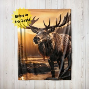 May include: A large brown elk with antlers stands in a river with a golden sunset in the background. The elk is looking at the camera.