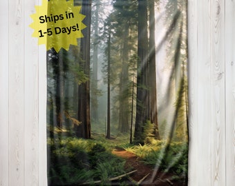 Redwoods Blanket, Velveteen Plush Blanket, Sherpa Fleece Blanket, Old Growth Forest Throw, Forest Trail Gift Blanket, Childrens Blanket