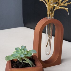 手作りの芸術的な石膏鉢：屋内屋外用プランター