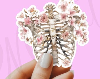 Ribs sticker, colorful ribs sticker, Anatomy sticker, laptop sticker, tumbler sticker, water bottle sticker, waterproof sticker