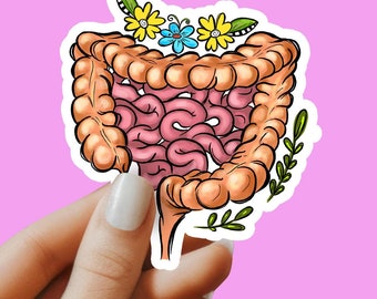 Gastrointestinal tract sticker, digestive system sticker, GI, laptop sticker, tumbler sticker, water bottle sticker, waterproof sticker