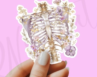 Ribs sticker, colorful ribs sticker, Anatomy sticker, laptop sticker, tumbler sticker, water bottle sticker, waterproof sticker