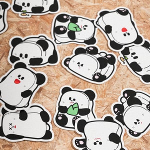 Pandas Bundle - 6 Pandas - svg eps pdf png