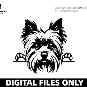 Yorkshire Terrier Yorkie Hund späht Peek-A-Boo Rasse Happy Face Welpe Tier Haustier Kunst Chihuahua Design Logo PNG SVG Clipart Vektor geschnitten Datei