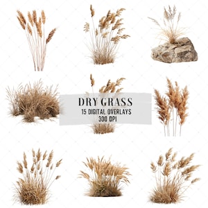 15 overlays van droog gras, transparante Photoshop-achtergrond, herfsttextuur digitaal, rustieke fotobewerking, natuurlijk veldeffect.