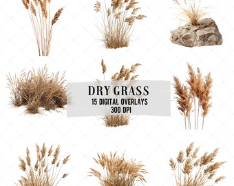 May include: A set of 15 digital overlays featuring various arrangements of dry grass, perfect for adding a touch of natural texture to your designs.  The overlays are 300 DPI and can be used for a variety of creative projects.