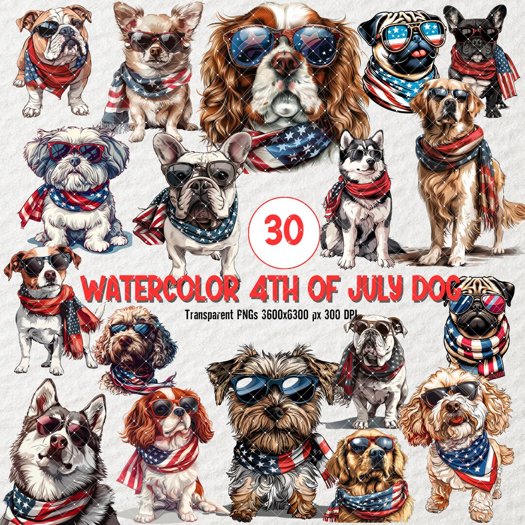 comforting dogs on the 4th of july