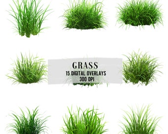 Green Grass Photo Overlays Realistic PNG Texture Pack for Photoshop Photo Editing