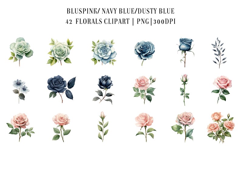 Watercolor Flower Clipart: Blush Pink & Navy Blue Floral Graphics ...