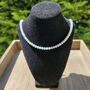 Peut inclure: Un collier délicat composé de petites perles rondes bleu pâle. Le collier est présenté sur un buste en velours noir, mettant en valeur sa couleur et son design subtils. L'arrière-plan présente un feuillage vert, offrant un contraste naturel.