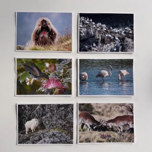 Cartes de vœux, ensemble de 6, uniques et recyclées avec sujet de photographie de nature – fabriquées à la main / uniques en leur genre