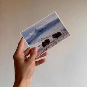 Greeting Cards, Unique & Upcycled with Nature Photography Subject – Random Assorted Set, Handcrafted / One-of-a-Kind