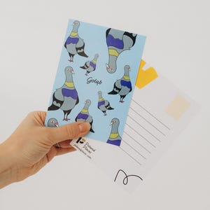 postale de pigeon | Jolie carte-cadeau | Souvenir de Pologne