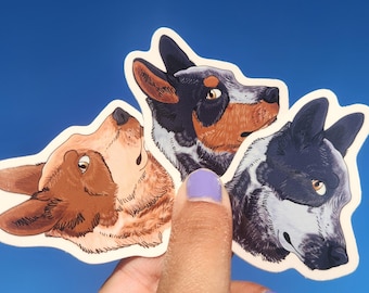Side Eye Sticker | Heeler Sticker