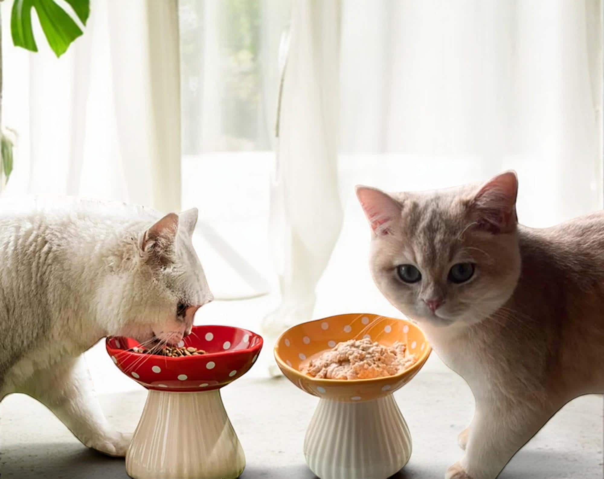 Cat Bowls Whisker Friendly Ceramic Raised Mushroom Cat Bowl Set