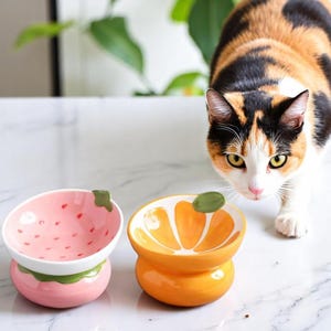 Cute Ceramic Raised Cat Bowls Elevated Design, 15° Tilted FeederProtect Cat's Spine Anti Vomiting Blow For Flat Faced Cats, Kitten Small Dogs,Raise