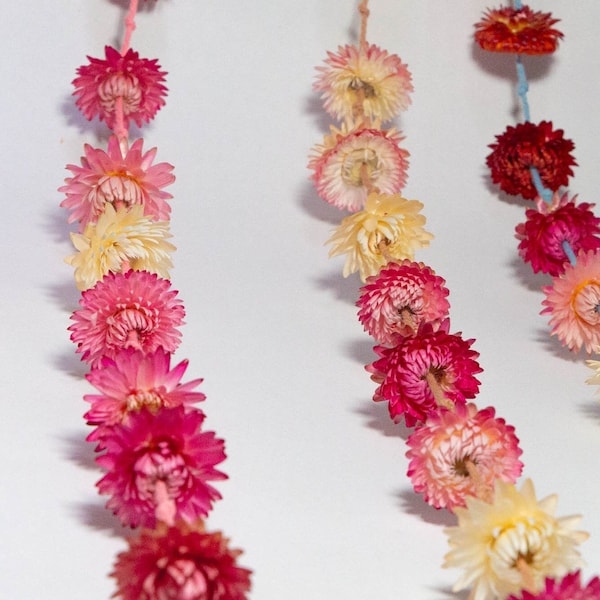 Pretty Pink Flower Garland 2m Dry strawflowers strung on delicate natural thread. Nationally grown dried + handmade in our Walled Garden