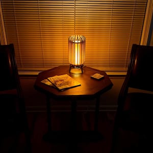 3D Printed Lamp - Fusion of Light, Motion, and Art - Futuristic Desk Lamp - Plug-in LED Bulb Included - Ethically Made - Unique Lamp