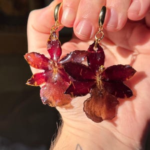 Real flower earrings, black burgundy orchid, resin jewellery studs