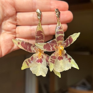 Real Aliceara Orchid Earrings, Real Flower Jewelry, Botanical Gift for Her, Unique floral dangles, Statement summer jewellery