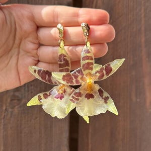 Aliceara Orchid Earrings, Real Flower Jewelry, Botanical Gift for Her, Unique floral dangles, Statement summer jewellery, Cottagecore