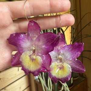 Real Pink Orchid Earrings: Resin-Preserved Flower, Stainless Steel
