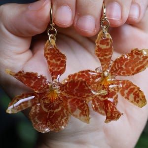 Hybrid Orchid Earrings • Real Orchid Jewelry • Rare Botanical Earrings • Handmade Floral Hoops • Nature Statement • Cottagecore Gift