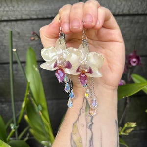 Puede incluir: Un par de pendientes colgantes con dijes de flores de orquídea de color crema con centros magenta intenso. Cada pendiente incluye cadenas de tono plateado que cuelgan debajo de la flor, acentuadas con pequeños cristales transparentes iridiscentes.