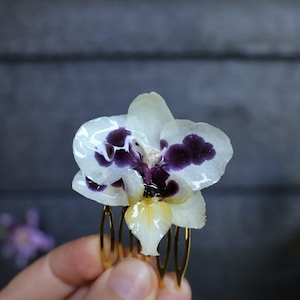 Puede incluir: Un peine para el cabello de orquídea blanca y morada con dientes de metal dorado. La flor tiene un aspecto delicado con manchas moradas y un centro amarillo. El peine es un accesorio decorativo.