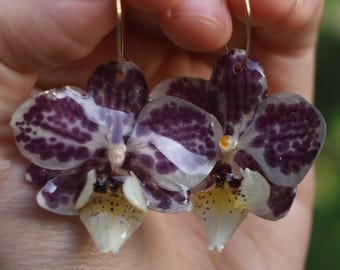 Orchid Earrings Real Orchid Resin Jewelry Handmade Floral Studs Gift for Her Spring Accessories