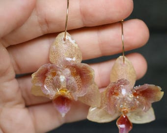 May include: A pair of hoop earrings featuring preserved orchid flowers with translucent, glossy petals in shades of beige, brown, and deep pink. The flowers are attached to thin, gold-toned metal hoops that pass through the top of each petal.