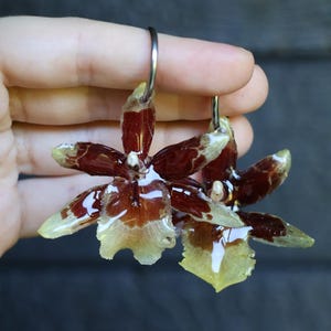 Real Orchid Earrings: Handmade Botanical Jewelry, Sterling Silver