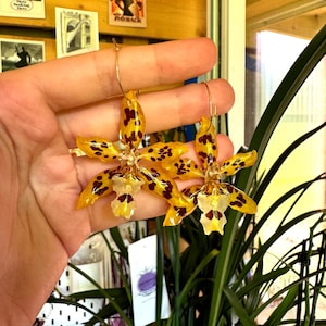 Real Orchid Resin Earrings: Lightweight Floral Dangle, Hypoallergenic